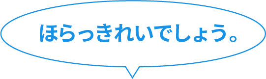 ほらっきれいでしょう。